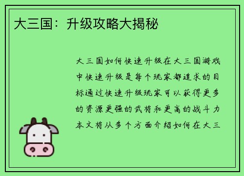 大三国：升级攻略大揭秘