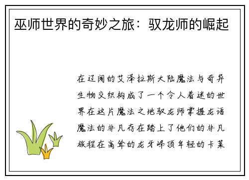 巫师世界的奇妙之旅：驭龙师的崛起